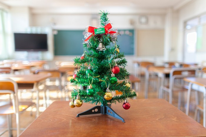 Decoration classroom for christmas