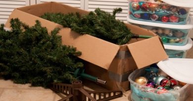 Christmas decoration storage ideas