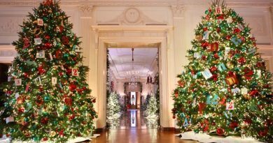 White house christmas decoration